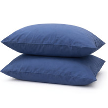 Наволочка 50x70 Ecotton Фланель Голубой SB-199