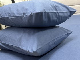 Наволочка 50x70 Ecotton Фланель Голубой SB-199