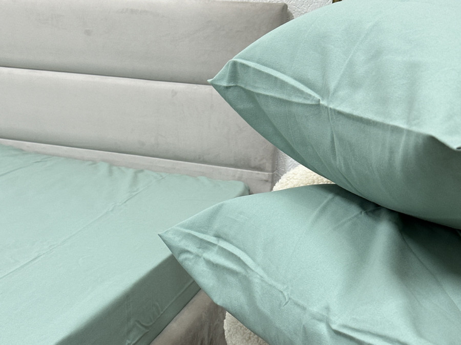 Наволочка 50x70 Ecotton Фланель Mint SB-200