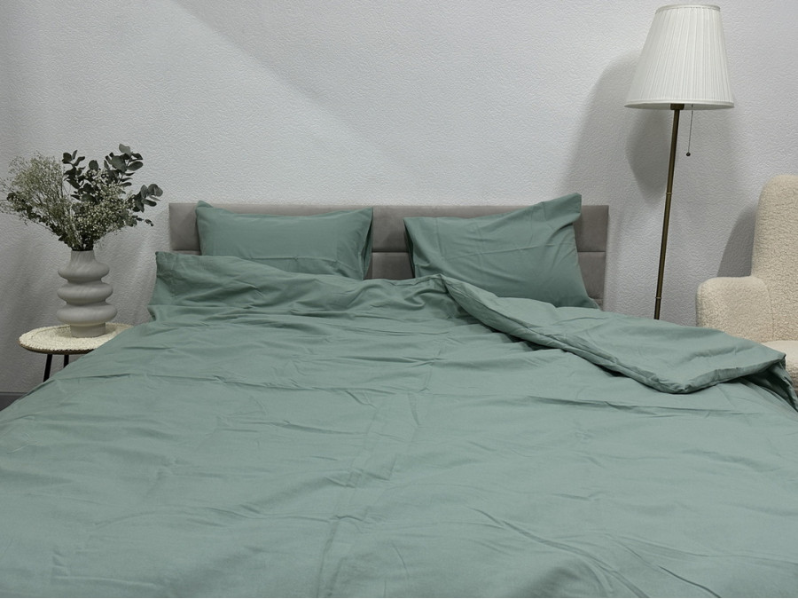 Наволочка 50x70 Ecotton Фланель Mint SB-200