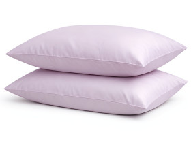 Наволочка 50x70 2 шт. Ecotton Сатин Iris 14-3805
