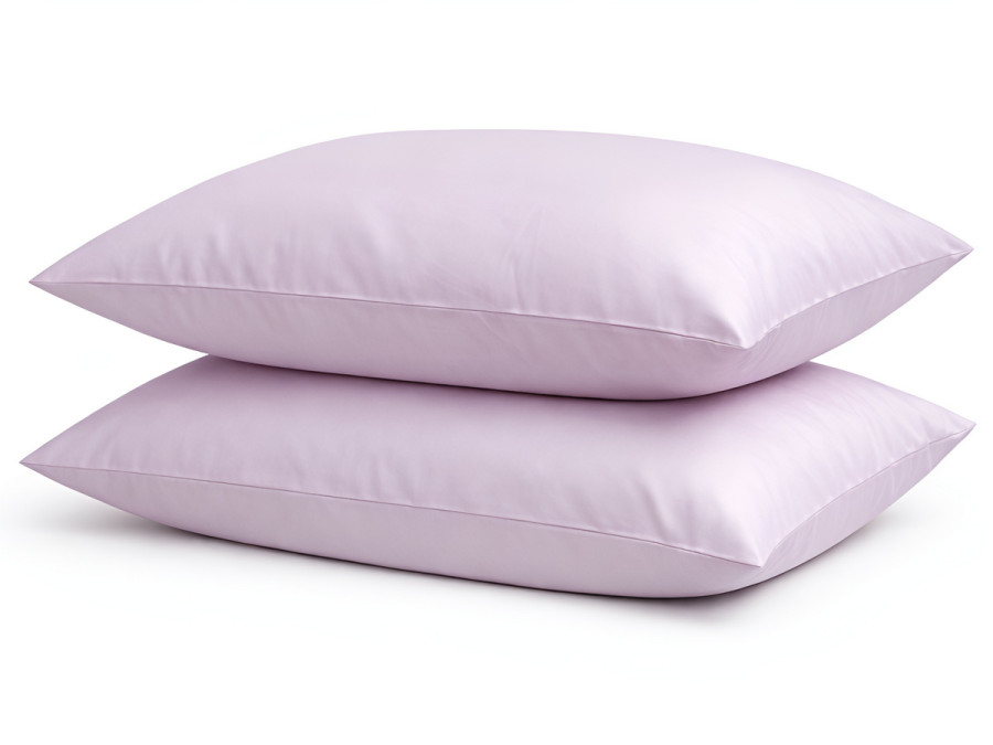 Наволочка 50x70 2 шт. Ecotton Сатин Iris 14-3805