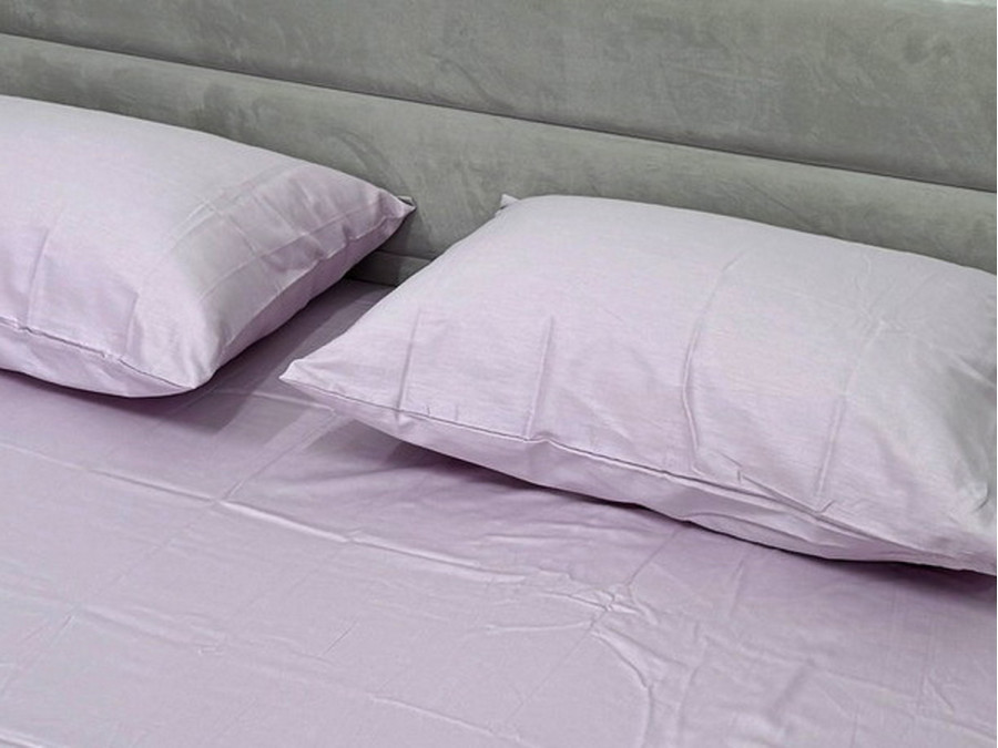 Наволочка 50x70 2 шт. Ecotton Сатин Iris 14-3805