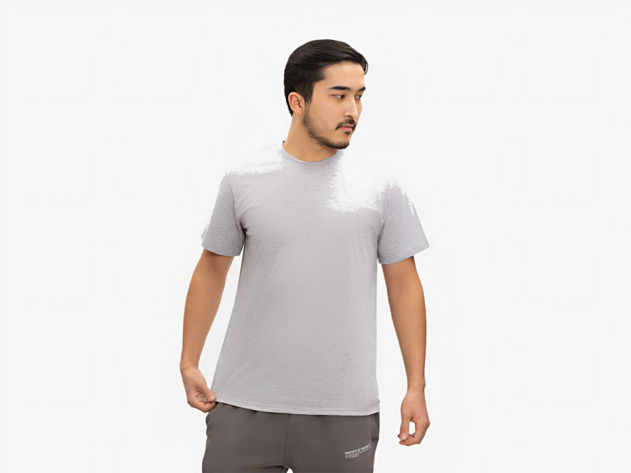 Unisex cotton T-shirt, size XL, gray