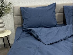 Пододеяльник Полуторный Ecotton Фланель Голубой SB-199