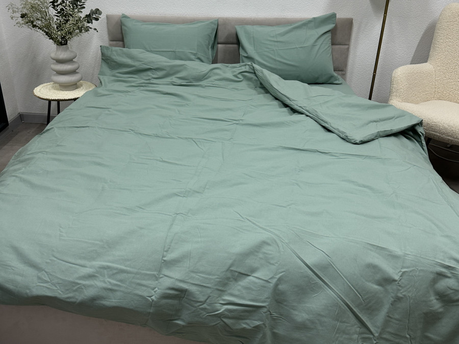 Підковдра Євро Ecotton Фланель Mint SB-200