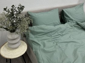 Пододеяльник Евро Ecotton Фланель Mint SB-200