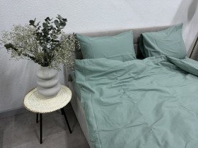 Пододеяльник Полуторный Ecotton Фланель Mint SB-200