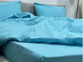 Підковдра Двоспальна Ecotton Фланель Sky Blue SB-134