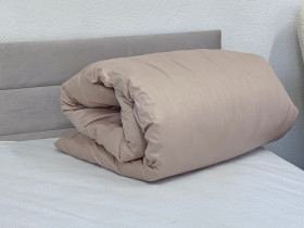 Підковдра 180x215 Ecotton Сатин Shifting Sand 14-1210