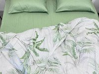 Duvet cover 150x215 satin Ecotton 21006