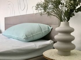 Подушка 50x70 100% Пух Тік Блакитний 40-0794