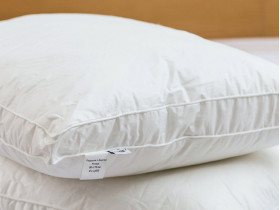 Подушка 50x70 Ecotton Тик Белый с бортом
