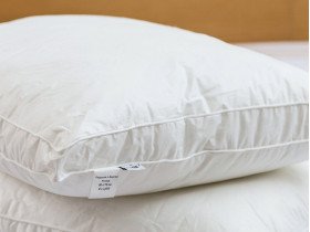 Подушка 50x70 Ecotton Тик Белый с бортом