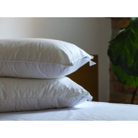 Подушка 50x70 Ecotton Тік Білий
