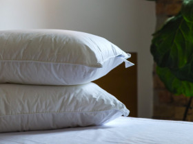 Подушка 50x70 Ecotton Тик Белый