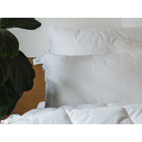 Подушка 50x70 Ecotton Тік Білий
