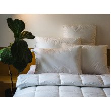 Подушка 50x70 Ecotton Тік Білий