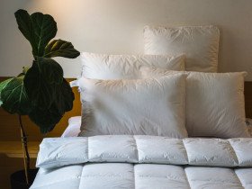 Подушка 50x70 Ecotton Тик Белый