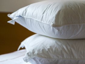 Подушка 50x70 Ecotton Тик Белый