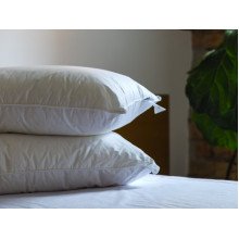 Подушка 50x70 Ecotton Тік Білий