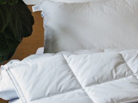 Подушка 50x70 Ecotton Тик Белый