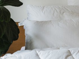 Подушка 50x70 Ecotton Тик Белый