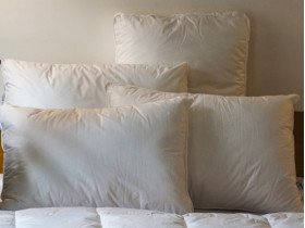 Подушка 50x70 Ecotton Тик Белый