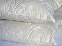 Подушка 50x70 30% Пух Тик Бежевый Роза