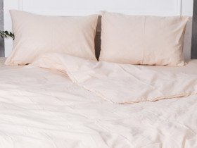 Постельное белье Ecotton Бязь Евро комплект пододеяльник + наволочки 50x70 (2 шт.) Бежевый 601