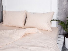 Постельное белье Ecotton Бязь Евро комплект пододеяльник + наволочки 50x70 (2 шт.) Бежевый 601