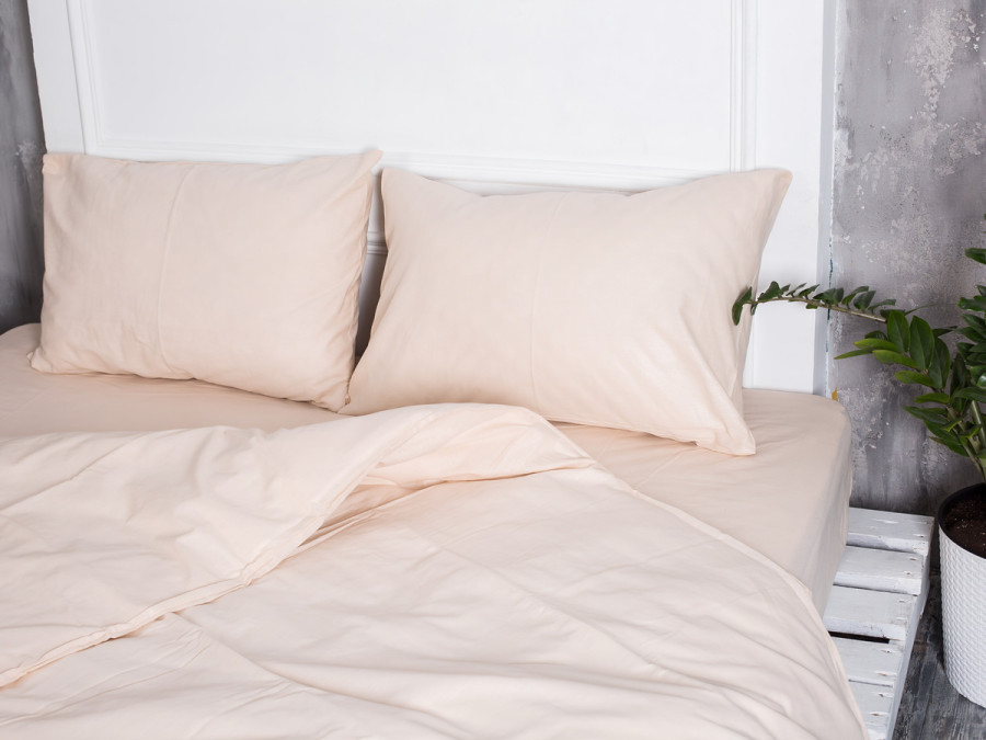 Постельное белье Ecotton Бязь Евро комплект пододеяльник + наволочки 50x70 (2 шт.) Бежевый 601