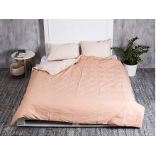 Постельное белье Ecotton Бязь Евро комплект пододеяльник + наволочки 50x70 (2 шт.) Кофе 603