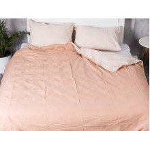 Постельное белье Ecotton Бязь Евро комплект пододеяльник + наволочки 50x70 (2 шт.) Кофе 603