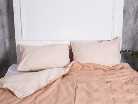 Постельное белье Ecotton Бязь Евро комплект пододеяльник + наволочки 50x70 (2 шт.) Кофе 603