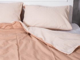 Постельное белье Ecotton Бязь Евро комплект пододеяльник + наволочки 50x70 (2 шт.) Кофе 603