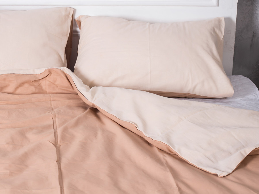 Постельное белье Ecotton Бязь Евро комплект пододеяльник + наволочки 50x70 (2 шт.) Кофе 603