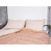 Постельное белье Ecotton Бязь Евро комплект пододеяльник + наволочки 50x70 (2 шт.) Кофе 603