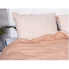 Постельное белье Ecotton Бязь Евро комплект пододеяльник + наволочки 50x70 (2 шт.) Кофе 603