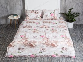 Постельное белье Ecotton Бязь Премиум Полуторный комплект Парижанка 6310/1