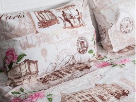 Постельное белье Ecotton Бязь Премиум Полуторный комплект Парижанка 6310/1