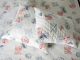 Постельное белье Ecotton Бязь Евро комплект Серый 40-0964