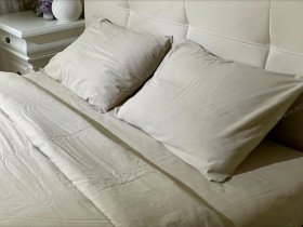 Постельное белье Ecotton Фланель Полуторный комплект Капучино SB-598