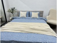 Постільна білизна Ecotton Фланель Євро комплект Квітка на блакитному 250958