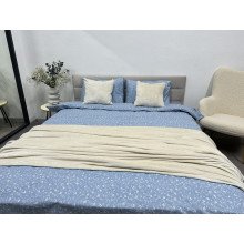 Постельное белье Ecotton Фланель Евро комплект Цветок на голубом 250958
