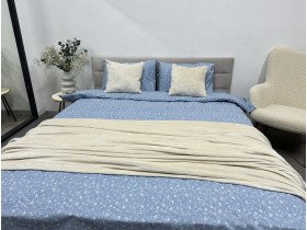Постельное белье Ecotton Фланель Евро комплект Цветок на голубом 250958
