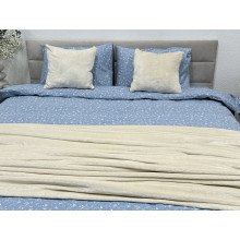 Постельное белье Ecotton Фланель Евро комплект Цветок на голубом 250958