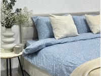 Постельное белье Ecotton Фланель Полуторный комплект Цветок на голубом 250958