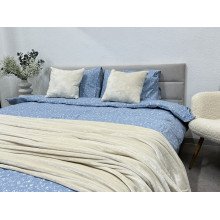 Постельное белье Ecotton Фланель Евро комплект Цветок на голубом 250958