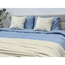 Постельное белье Ecotton Фланель Двуспальный комплект Цветок на голубом 250958
